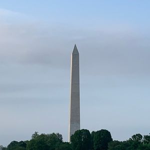 Meet your Posher, Caitlyn